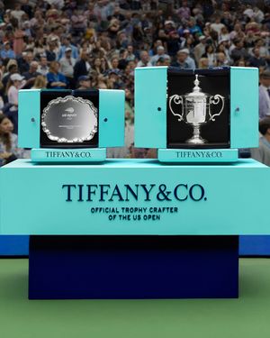 Image post by @tiffanyandco on Instagram