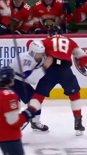 Video post by @hockeyfights on Instagram