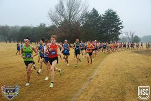 Image post by @runninglane on Instagram