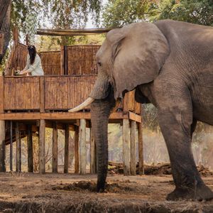 Image post by @chiawasafaris on Instagram