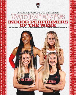 Image post by @Wolfpack_TFXC on Twitter