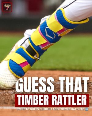 Image post by @witimberrattlers on Instagram