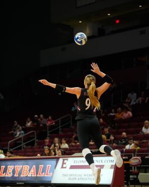 Image post by @elonvb on Instagram