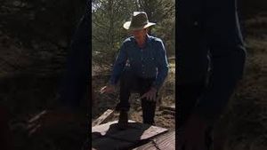 Video post by @lmn on YouTube