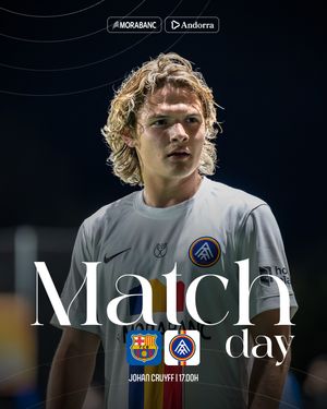 Image post by @fcandorra on Instagram