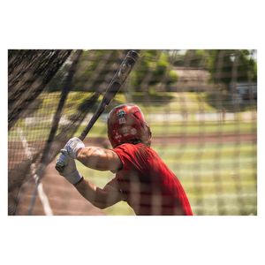 Image post by @razorbackbsb on Instagram