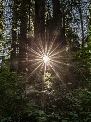 Image post by @nationalparktrust on Instagram