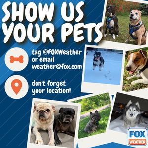 Image post by @foxweather on Twitter