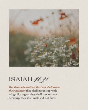 Image post by @cecewinans on Instagram