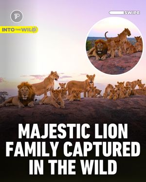 Image post by @pubity on Instagram