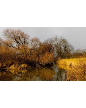 Image post by @cristan.nature.photography on Instagram
