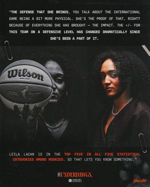 Image post by @ConnecticutSun on Twitter