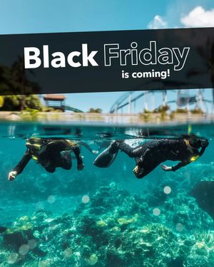 Image post by @seaworldaus on Instagram