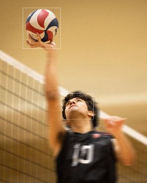 Image post by @harvardmvball on Instagram