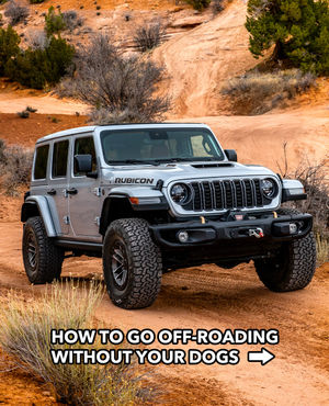 Image post by @jeep on Instagram