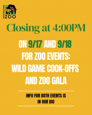 Image post by @bhamzoo on Instagram