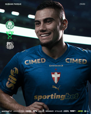 Image post by @palmeiras on Instagram