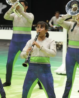 Image post by @wgisportofthearts on Instagram