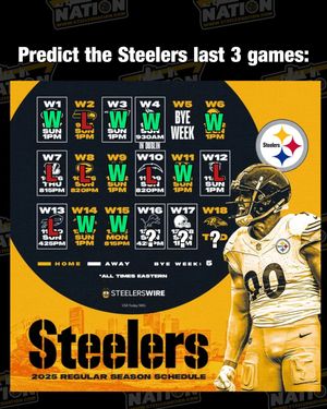 Image post by @steelernationcom on Instagram