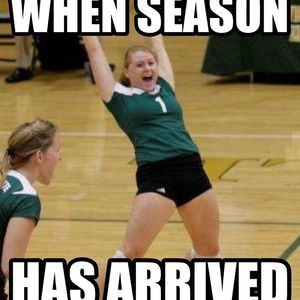 Image post by @wsuvball on Instagram