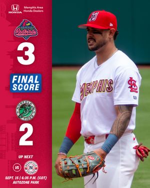 Image post by @memphisredbirds on Instagram