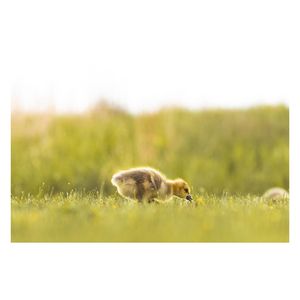 Image post by @alexdebuhrphoto on Instagram
