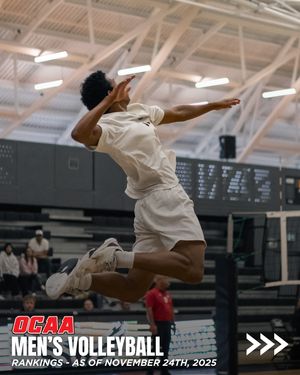 Image post by @theocaa on Instagram