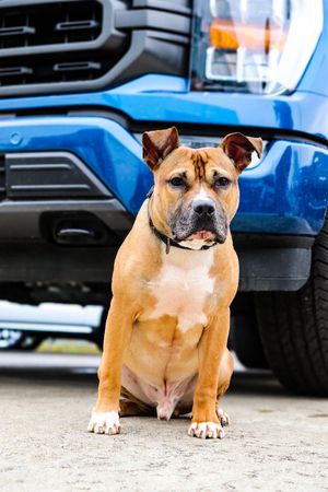 Image post by @PaulMillerAutoOutlet on Facebook