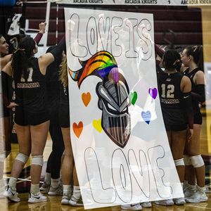 Image post by @arcadia_saac on Instagram