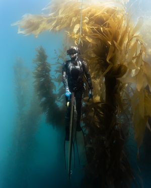 Image post by @turtleboxaudio on Instagram