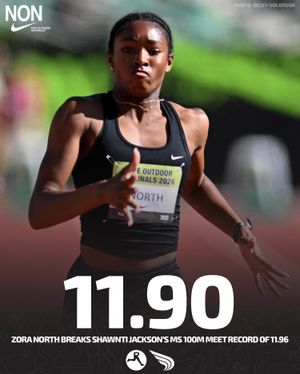 Image post by @dyestat on Instagram