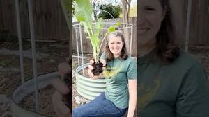 Video post by @annathearcher on YouTube