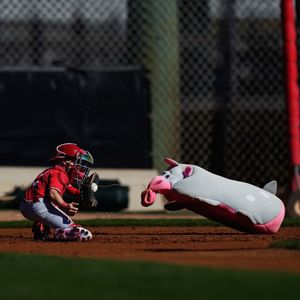 Image post by @league.minis on Instagram