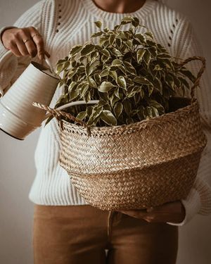 Image post by @kate.simple.life on Instagram