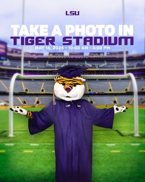 Image post by @lsu on Instagram