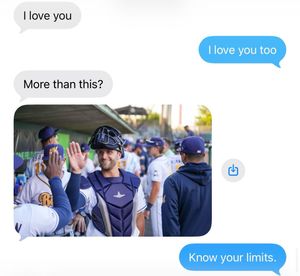 Image post by @biscuitbaseball on Instagram