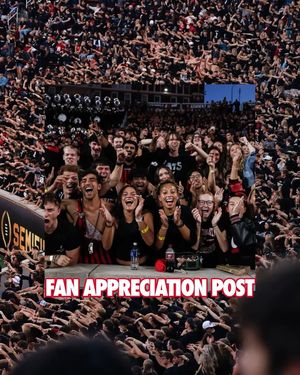 Image post by @gobearcats on Instagram