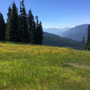 Image post by @whistlerblackcomb on Instagram