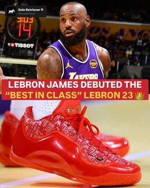 Image post by @soleretriever on Instagram
