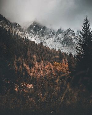 Image post by @kszczuka on Instagram