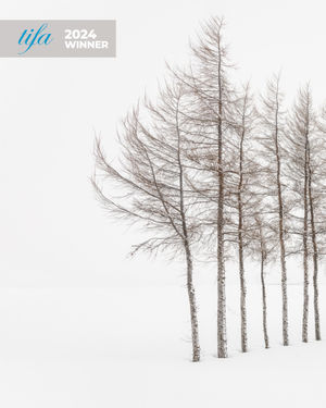 Image post by @tokyofotoawards on Instagram