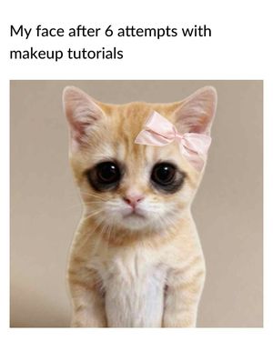 Image post by @sheinofficial on Instagram