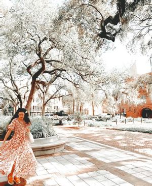 Image post by @wkudz on Instagram