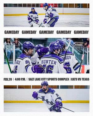 Image post by @wsumenshockey on Instagram