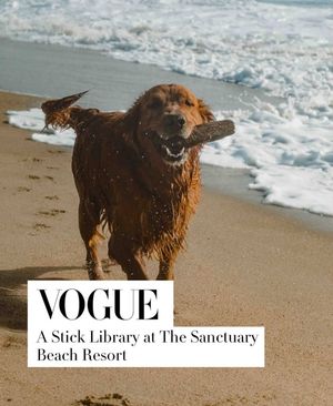 Image post by @chelemckeedesign on Instagram
