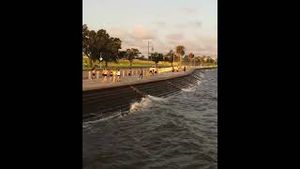 Video post by @ncaa on YouTube