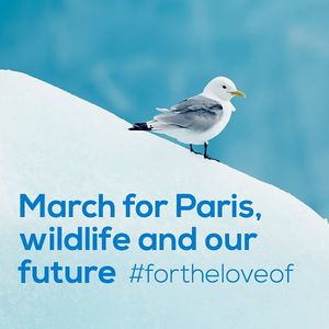 Image post by @rspb on Instagram