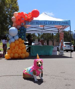 Image post by @ScoopSanDiego on Facebook