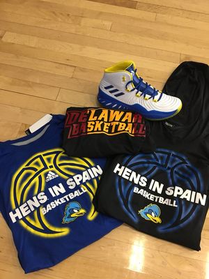 Image post by @DelawareWBB on Twitter
