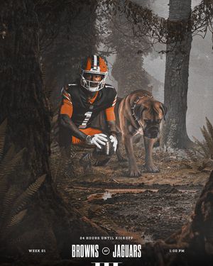 Image post by @Browns on Twitter